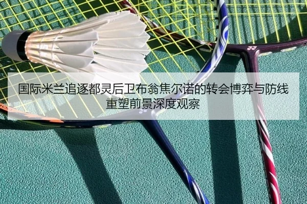 国际米兰追逐都灵后卫布翁焦尔诺的转会博弈与防线重塑前景深度观察
